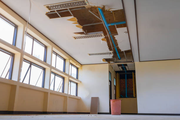 Best Professional water damage repair  in Zebulon, NC
