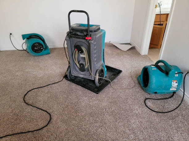 Best Sewage cleanup and water damage restoration  in Zebulon, NC