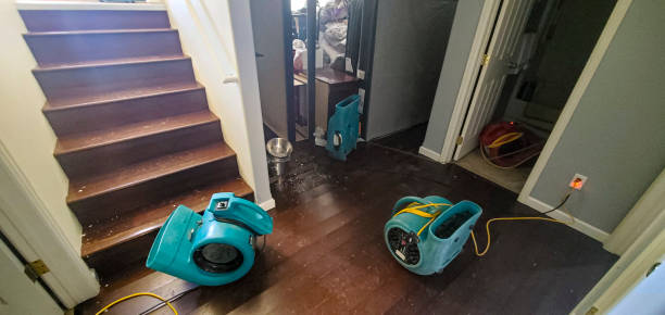 Best Water damage restoration cost  in Zebulon, NC