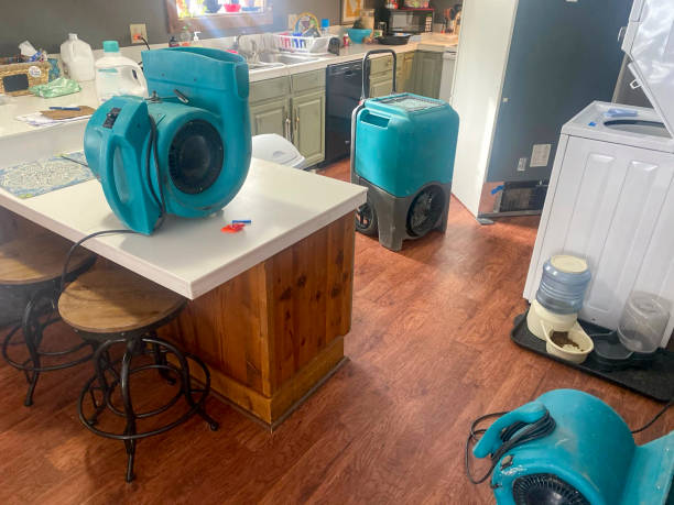 Best Basement water damage restoration  in Zebulon, NC