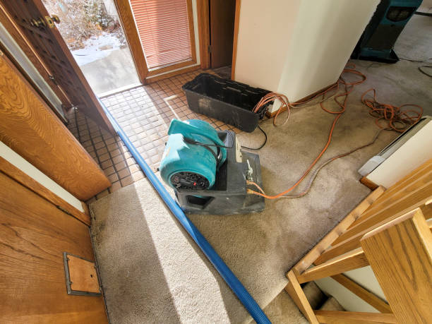 Best Carpet water damage restoration  in Zebulon, NC