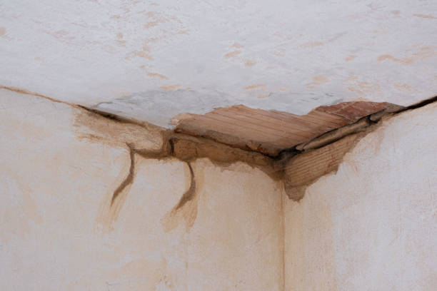 Best Emergency water damage restoration  in Zebulon, NC