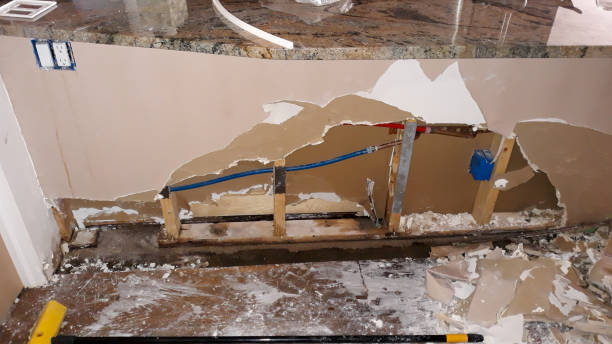 Best Water damage mitigation services  in Zebulon, NC