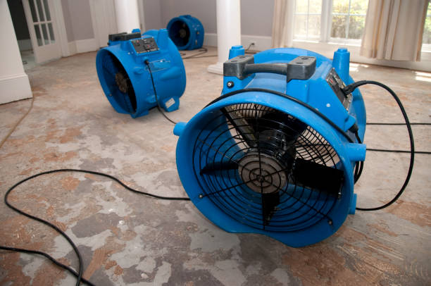 Best Carpet water damage restoration  in Zebulon, NC