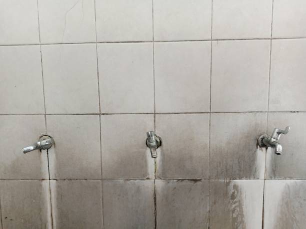 Best Water damage restoration near me  in Zebulon, NC