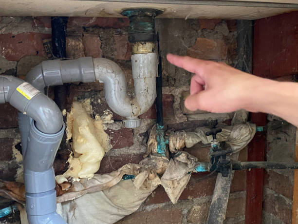 Best Water damage restoration near me  in Zebulon, NC