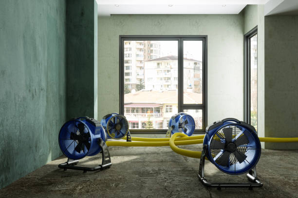 Best Water damage restoration company  in Zebulon, NC