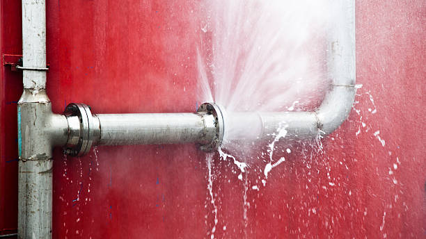 Best Flood restoration services  in Zebulon, NC